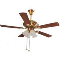 Fans Special