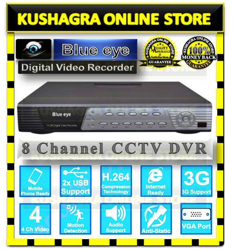 Blue Eye 8 CH Channel CCTV H.264 Security Standalone DVR Digital Video