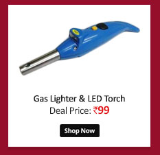 2 IN 1 GAS LIGHTER WITH LED TORCH