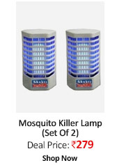 Electronic Insect Killer Night Lamp / Mosquito Killer Set Of 2- 100 Percent Cashback  