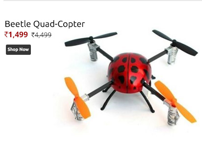 The FlyerS Bay Beetle Quad-Copter 24 Ghz Drone With Remote Display Screen (Multicolor)  