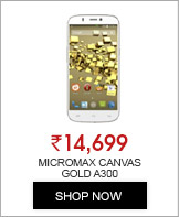 Micromax Canvas Gold A300