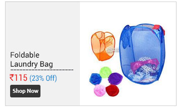 Foldable Laundry Bag - Net  