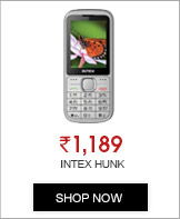 Intex Hunk