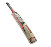 Ss Soft Pro II Full Size Kashmir Willow Cricket Bat