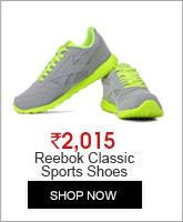 Reebok Classic Men Grey CL Leather Tech Sports Shoes